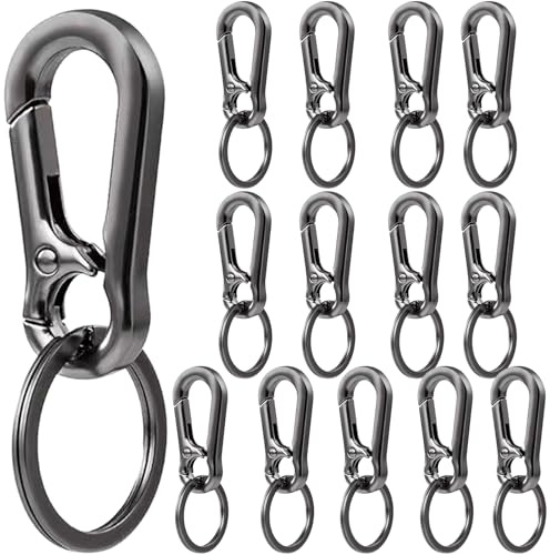 14 Stück Karabiner Schlüsselanhänger,Metall-Schlüsselanhänger Herren Karabinerhaken Klein Schlüssel Karabiner mit Schlüsselring-Clips Für Schlüssel, Rucksäcke Und Charms,Autoschlüssel (Grau)
