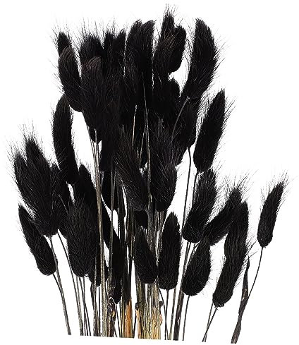 HOMOCONO 60 Stück Natürliche Lichtschwänze Getrocknete Blumenarrangements Für Hochzeitsdekoration