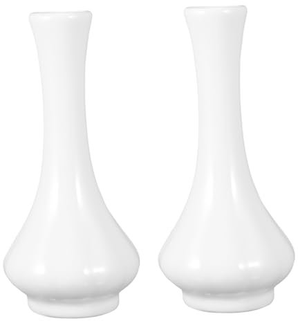GARVALON 2 Stück Keramik Natur Blumenarrangement Porzellan Blumentöpfe Einweihungsdeko Moderner Stil