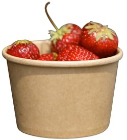 ECOPICNIC Gobelet à glace jetable 250 ml | Lot de 50 pièces Bol à soupe jetable, vaisselle jetable, gobelets en carton kraft pour aliments, pot jetable pour desserts, salades, apéritifs