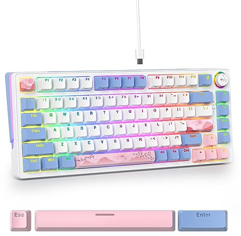 SOLIDEE 75% mechanische Gaming-Tastatur,hot-swap-fähige Tastatur mit Rosa Schalter,RGB-Hintergrundbeleuchtung,83 Tasten,PBT Kompakt NKRO Keyboard mit Lautstärkeregler(83 Pink)