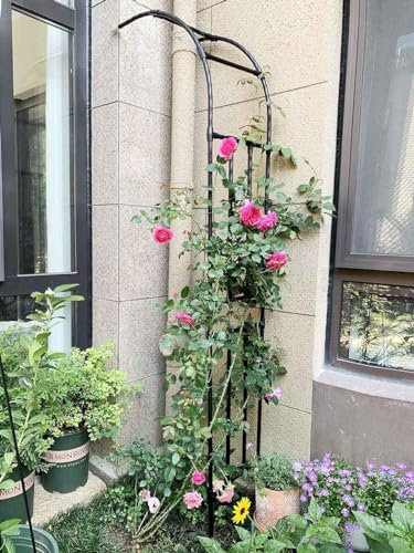 MISKYN Arche De Jardin Demi Rond, Demi-Arche en Métal, Arceau Jardin Arche A Rosiers De Style Fer Forgé, Tonnelle De Jardin Robuste, pour Plantes Grimpante,Noir,150 * 240cm