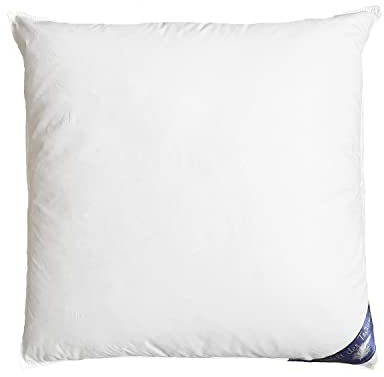 Welt der Träume Daunenkissen | 80x80 cm | Füllgewicht: 700 Gramm | inkl. Kissenbezug aus 100% Baumwolle | Kopfkissen 80x80 Daunen | Federkissen | kein Lebendrupf | weiß | 1 Stück