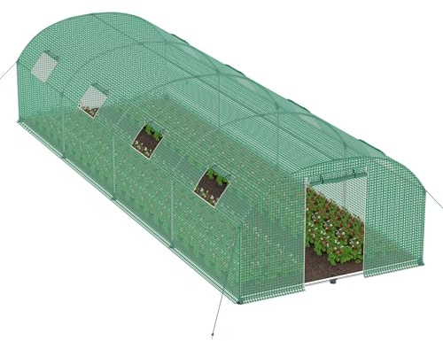 LZQ Foliengewächshaus für Garten 3x8x2 m Gewächshaus UV-beständig & Winterfestes Gewächshaus 24 ㎡ Folientunnel Tomatenhaus mit Fenstern, Tür & Verstärktem Rahmen, Grün