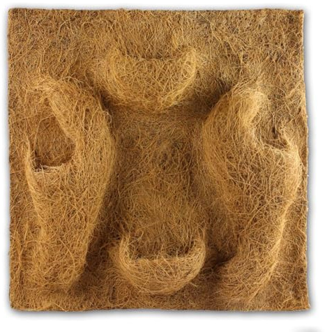Reptiles Planet - Planting Background - Fibre de Coco - 50 x 50 cm