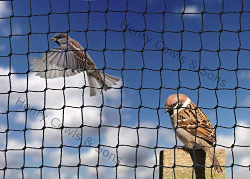 Bird Netting For the Garden 5m x 20m 19mm Anti Sparrow Small Mesh Heavy Duty Black Net