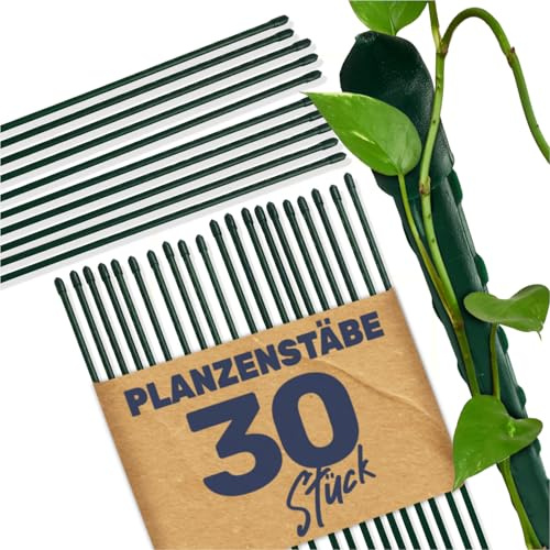Gravidus Pflanzstäbe Pflanzstab Rankenhilfe Stahl mit Kunststoff Ummantelung Größe 90 cm (30 Stück)