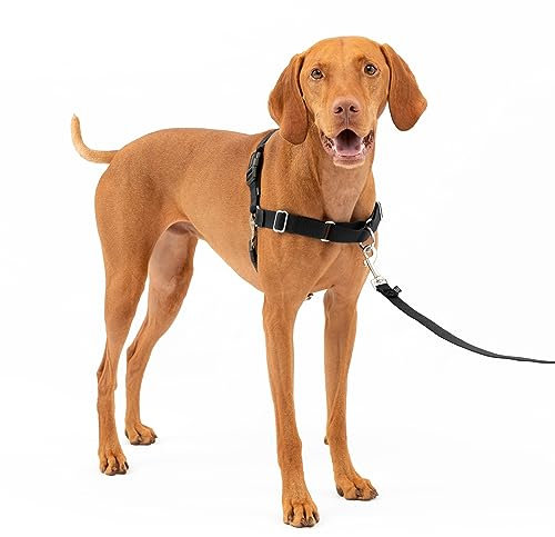 PetSafe Easy Walk Harness, Black, Medium