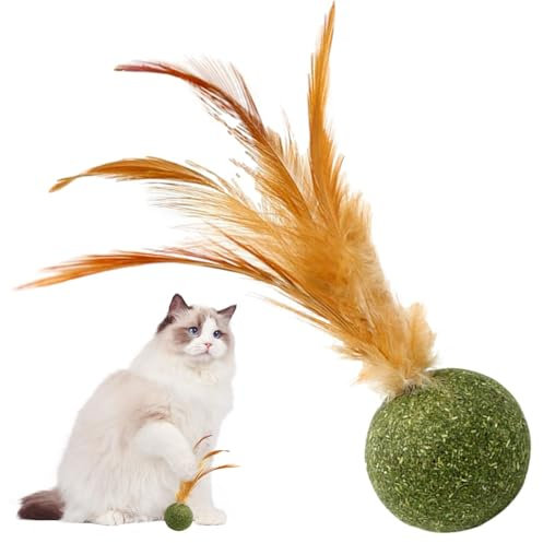 Magic Cat Balls | Katzenspielzeug Katzenminze | Essbarer Katzenminze Federball | Katzenspielzeug für Katzen Lecken | Sicheres gesundes Kätzchen-Kauspielzeug | Zahnreinigung Katzenspielzeug |