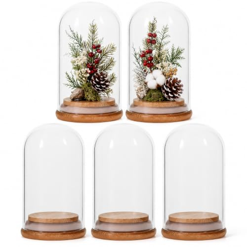 VALICLUD Lot de 5 Cloches en Verre Transparent avec Socle en Liège 6X10 CM Couvercle en Bambou pour Fleurs Stabilisées Présentoir Décoratif et Vitrine de Rangement pour Poupées et