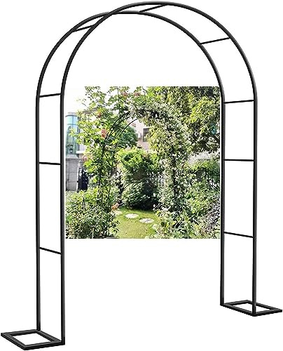 Arche de Jardin en Métal Noir Solide pour Plantes Grimpantes Anti-Déformation Treillis Résistant aux Intempéries pour Jardin Patio Décoration Mariage,300×220×40cm