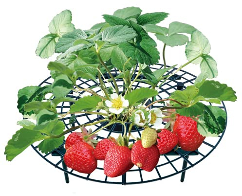 UPP Erdbeerreifer Set | Einstellbarer Fruchtreifer aus Kunststoff | Rankhilfe für Erdbeeren, Gemüse & Blumen | Natürlicher Schneckenschutz | Erdbeergitter schützen vor Fäulnis & Schimmel [5 STK.]