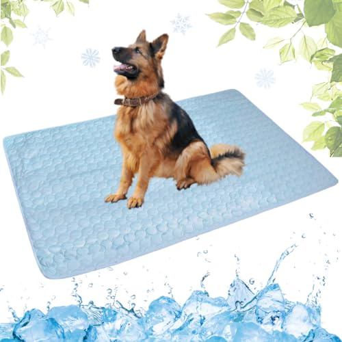 LEZUAN Kühlmatte Hunde, Selbstkühlende Hundematte, Kühldecke Katzen, Ungiftig Kühlkissen für Haustiere, Waschbar Hund Kältematte für Drinnen, Draußen und Auto(Hellblau,70x100cm)