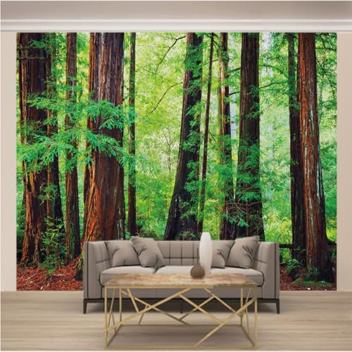 Fotomurale Carta da Parati Panoramica TNT Murale Decorazione da Muro Poster Gigante Design Carta per Pareti L 200cm Larghezza x 140cm Altezza Paesaggio Boschivo