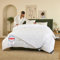 DREAMWAY - Piumino Letto Piazza e Mezza Quattro 4 Stagioni 220x240 cm, Set Piumino Estivo 150gsm + Piumino Primaverile/Autunnale 300gsm = Piumone Invernale Caldissimo 450gsm, 220 x 240 - Oeko Tex