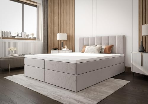 B&B HOME Boxspringbett AdelleIII 160x200 cm - mit Bettkasten