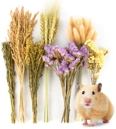 Sukh 60Pcs Nature Flower Herb Hamster Bedding - Cage Enclosure Habitat Decor Mate Small Animal Natural Ear of Grain Sprays for Syrian Dwarf Hamsters Gerbils Rabbit Other Pets