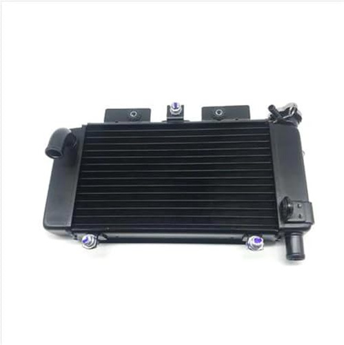 CPXCTZFZUB Para C&FMOTO Para 250SR Accesorios De Motocicleta Tanque Agua Conjunto Radiador Anticongelante Refrigerante Radiador Refrigeración Motocicleta