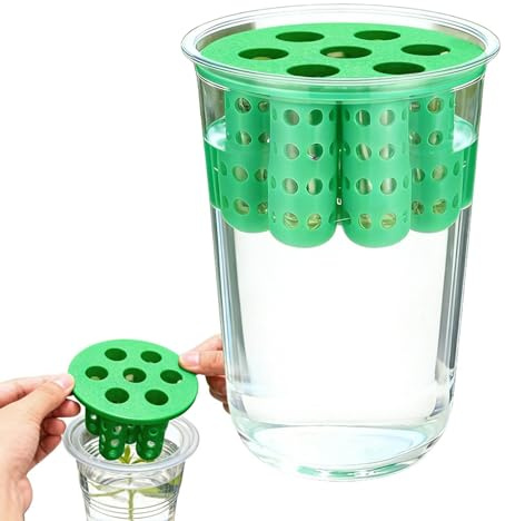 Green Onion Planter | Clear Reusable Scallion Grower Propagation Station - Green Onion Seedling Sprouting Kit | for Windowsill Garden Home Indoor Kitchen Corner