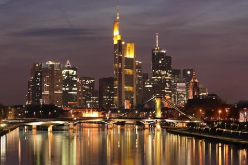 Puzzle für Erwachsene, 1000 Teile, Frankfurt Deutschland, Skyline, glänzend, Holzpuzzle, Banner, Nachtsicht, A235, anspruchsvolle Puzzles für Freunde, Familie, Wanddekoration