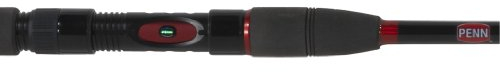 Penn Slammer Stik 302 20/60 Sw Spin