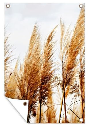 MuchoWow Outdoor-Poster Poster Wanddeko draußen Deko Garten Gartenposter 80x120 cm Pampasgras - Sonne - Gras