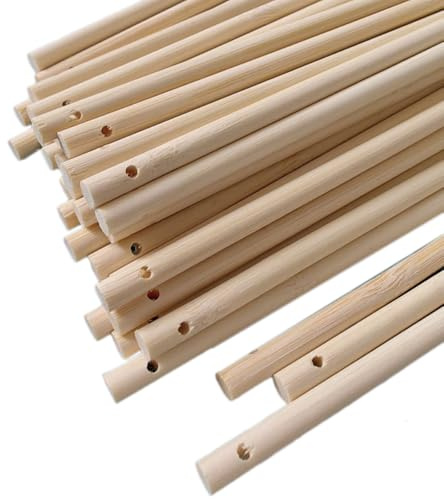 Blausky 30 Stück Natürlicher Bambusstäbe,Rundhölzer mit Loch Holzstäbchen zum Basteln Bastelstäbe Rundstab aus Massiv-Holz Bastelholz Holzbau-Stöcke für DIY Arts Craft Modellbau,6mmx30cm