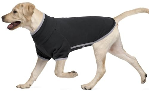Hundemantel Winter Hunde, Hundejacke Winter Sweatshirt Warm Fleece Weste Winter Hundemantel Jack Russel Fashion Sports Hundejacke Chihuahua(Dunkelgrau, L)