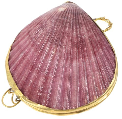 COSMEVIVI Muschelform Schmuckschatulle Aufbewahrungsbox Für Kleinigkeiten Und Ohrringe Dekorativ Sorgfältig Verarbeitet Mit Liebe Zum Detail Praktisch Und Effizient
