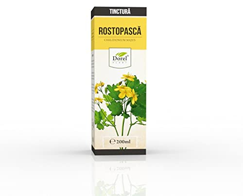 Schöllkraut Tinktur 200ml