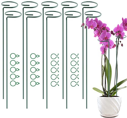 POTWPOT Plant Support Stakes, 10pcs 40cm Single Stem Plant Supports for Garden Metal Plant Support Ring cage with 30Pieces Plant Clips for Garden Flower Orchid Rose Lily Peony Monstera Iris Tomato