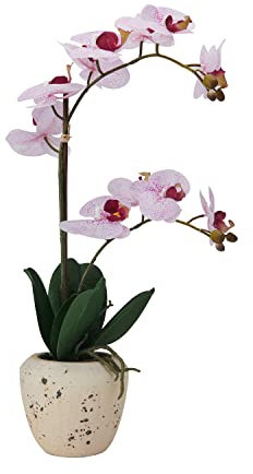 Mikasa Künstliche Orchidee im Topf, fühlt Sich echt an, Phalaenopsis-Orchidee, künstlicher gealterter Zementtopf, 55,9 cm Doppelzweig, rosa Punkte