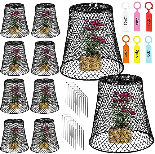 Sapbontchi Cloches de Jardin en Fil de Fer pour Plantes - Protection Contre Les Animaux - Cages en métal pour empêcher Les Lapins d'entrer - Poulet, écureuils, Oiseaux