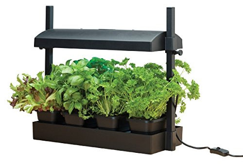 G187 Garland Micro Grow Light Garden (1 x 11W Light)