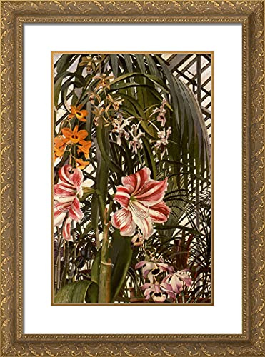 ArtDirect Spencer, Stanley 18x24 Gold Ornate Framed Art Print with Double Matting Titled: Orchids Lilies Palms