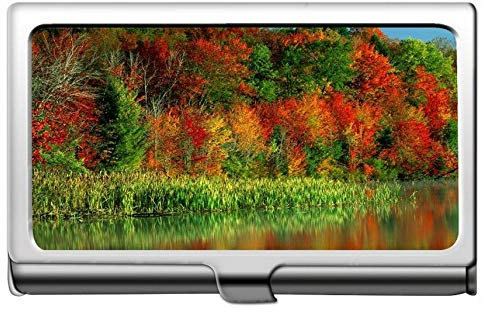 Business Name Card Holder Wallet, Wälder Wald Herbst lebendige Farben Desktopia Tageslicht Kreditkarte Id Fall/Inhaber/Karten Fall