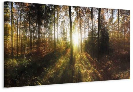 B&D XXL - Wandbilder XXL Wald 90x30 cm 1 tlg - Wand Deko Vlies Leinwand Bilder Groß Wanddeko Wohnzimmer Schlafzimmer Kunstdrucke Panoramabild - Waldlandschaft Natur Panorama Baum