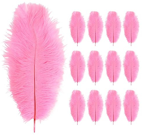 Anseom 12 Pièces Plumes d’Autruche 20-25 cm Naturelles pour Mariage et Décoration de Noël (Rose)
