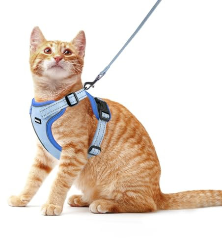 Rttochfy Katzengeschirr und Leine, verstellbare und reflektierende Katzenweste, ausbruchsicheres Kätzchengeschirr, einfach anzuziehen, mit 3 Schnallen, für Spaziergänge und Reisen (Blau, M)