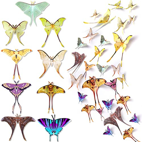 Rtteri 63 Pack 3D Butterfly Moth Wall Decor Butterfly Wall Stickers Butterflies Decals Removable Double Sided Decal Reusable Mural Sticker Set Fairycore Moth for Spring Holiday Party Room Whimsy Decor