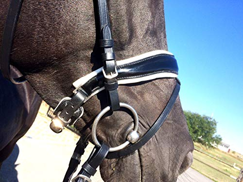 anatomisch gepolsterte Trense Trensenzaum Berlin mit Ohren und Gebissfreiheit sowie Nüsternwelle Nasenriemen und Stirnband mit Lackleder WB