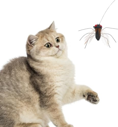 Toddmomy 2 Stück Interaktive Katzenangel Ersatzköpfe mit Insekten Design für Langanhaltenden Spielspaß Fördert die Natürliche Jagdinstinkte von Katzen Wohnung