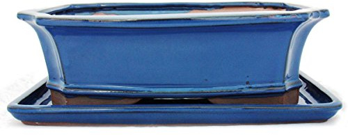 exotenherz Bonsai-Schale mit Unterteller Gr. 5 - Blau - eckig - Modell G4 - L 31cm - B 23cm - H 9,5 cm
