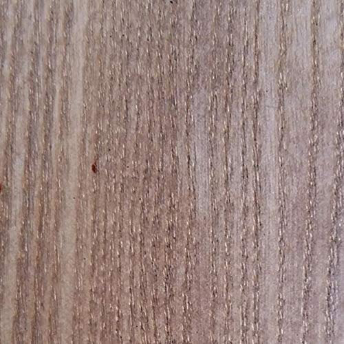 WooDeeDoo – Tinte para madera, Tinte para madera, gris, Tester Pot 10 ml