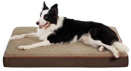 jojobasec Katzen- und Hunde-Plüschkissen, für vier Jahreszeiten, Schlafunterlage für Hunde und Katzen, abnehmbar, faltbar, für den Innenbereich