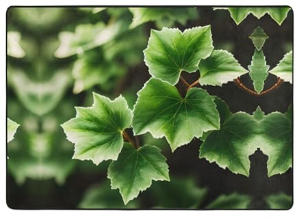 Carpet Tapis décoratif de 203,2 x 147,3 cm – Tapis imprimé arbre de lierre pour salon, bureau, table basse, lit, balcon