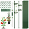 CNMTCCO Tutores para Plantas, 20 Piezas Tutor Planta Interior, 20 Tallos de Planta Clips, 10 Tallos Tubo de extensión, Soporte para Plantas, celosía para Tomates, celosía para Plantas de Interior