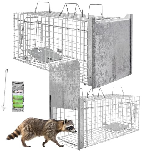 Animales Humane Trampa Jaula Captura Gato Zorro Mapache Castor 80 x 34 x 34 cm Petigi