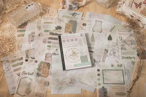 40 fogli di adesivi botanici verde salvia | adesivi Washi vintage foglia e felce | Set 2 in 1 Ephemera con 20 fogli fustellati e 20 fogli autoadesivi