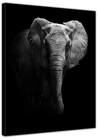 Bilderdepot24 Bild auf Leinwand | Elefanten schwarz weiß in 50x70 cm als Wandbild | Wand-deko Dekoration Wohnung modern Bilder | 211454